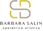 Barbara Salin Logo